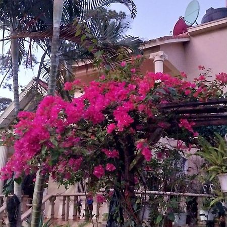 La Famosa Costillas A La Lena Jarabacoa Ngoại thất bức ảnh